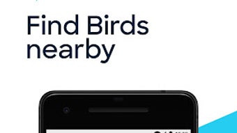 Bird — Ride Electric