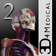 Essential Anatomy