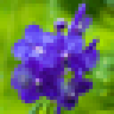 Summer Flower Screensaver