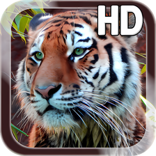 Tiger Live Wallpaper