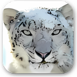 Programikonen: Snow Leopard Wallpaper