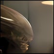 Ikona programu: Tapeta Alien Vs. Predator