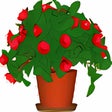 Icon of program: DesktopPlant
