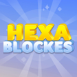 أيقونة البرنامج: Hexa Blocks Sorting