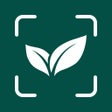 Icon of program: Plant Identification Diag…
