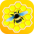 Icon of program: Honeygain - Money App Adv…