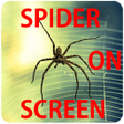 程序图标：Spider On Screen Prank