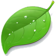 Icon of program: Coda