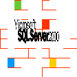 Icône du programme : SQL Server