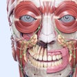 Programın simgesi: VOKA 3D Human Anatomy AR …