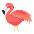 Icono de programa: Flamingo Animator