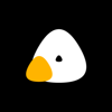 Programikonen: Caveduck