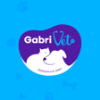 Иконка программы: GabriVet