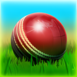 Icon of program: Cricket 3D World Street C…